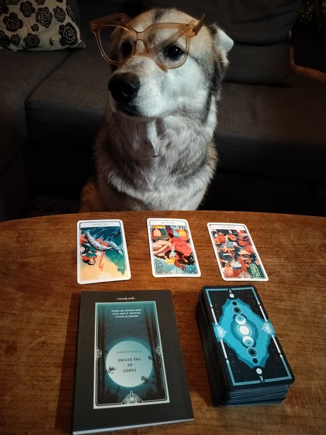 Tarot card local